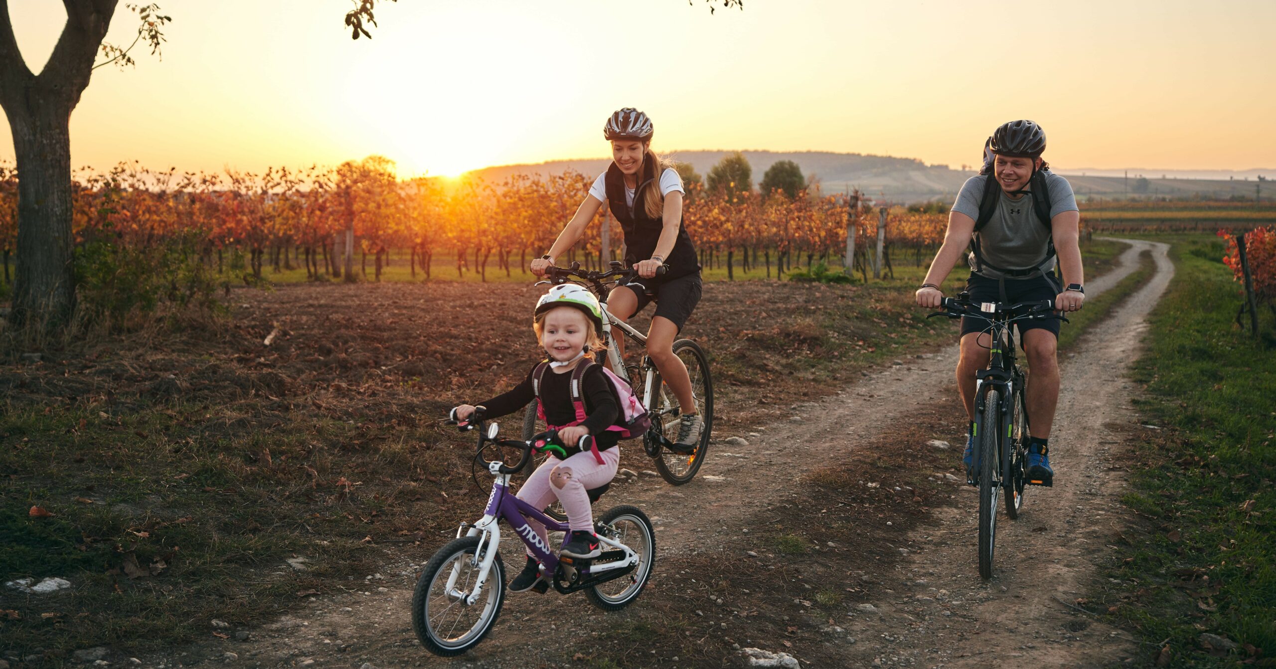Eine Familie fährt mit dem Fahrrad durch den Nationalpark Neusiedlersee Seewinkel.